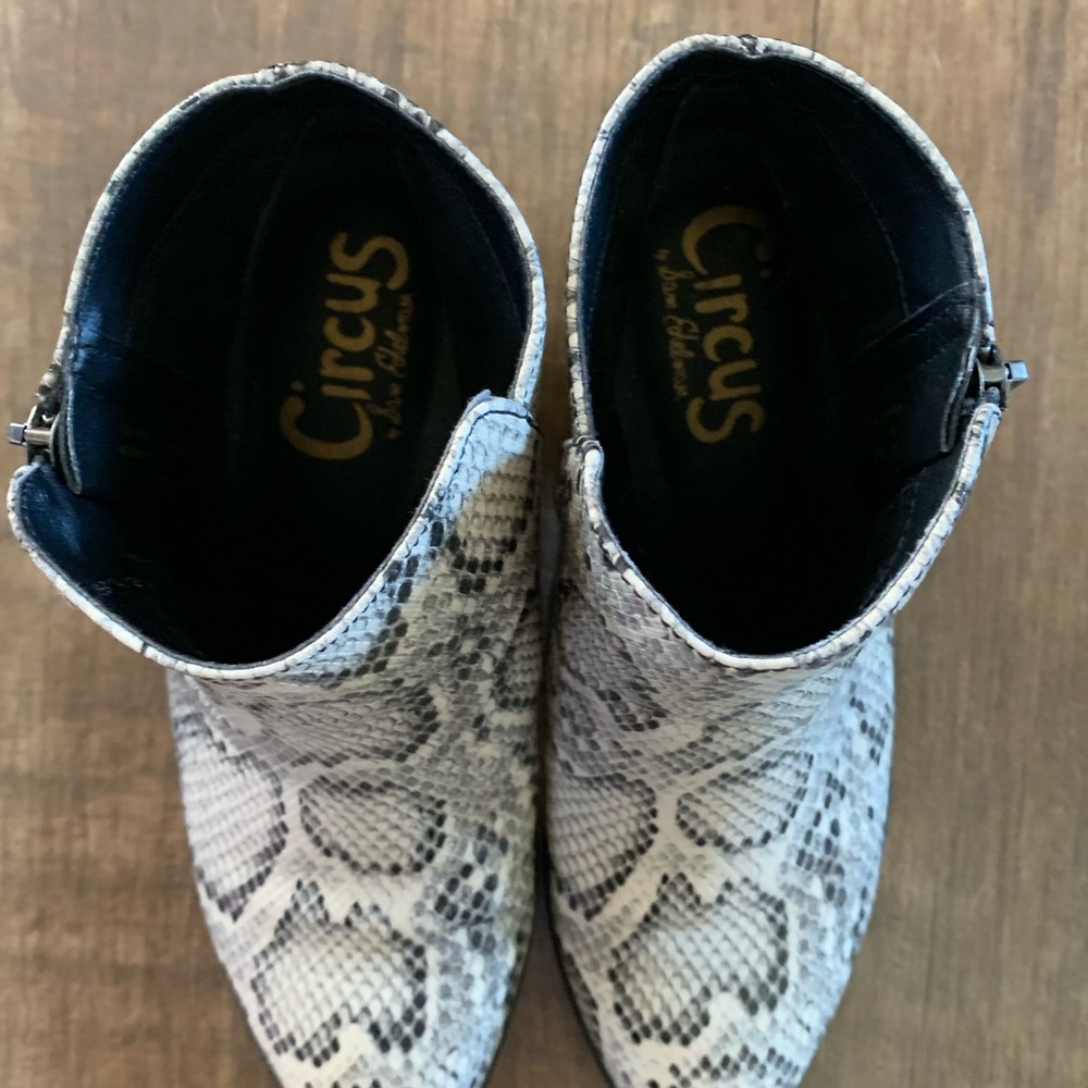 Sam Eldelman reptile/snake print studded heel booties - Picture 5 of 8